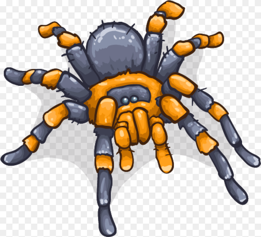 Cartoon, Animal, Invertebrate, Spider, Baby Transparent PNG