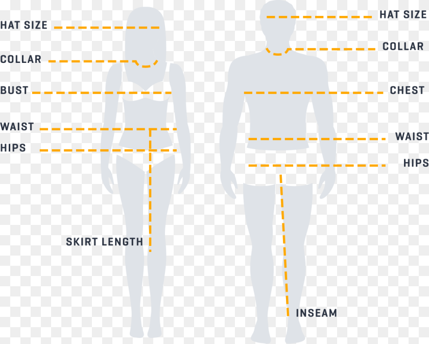 Cartoon, Chart, Plot, Measurements, Adult Sticker PNG