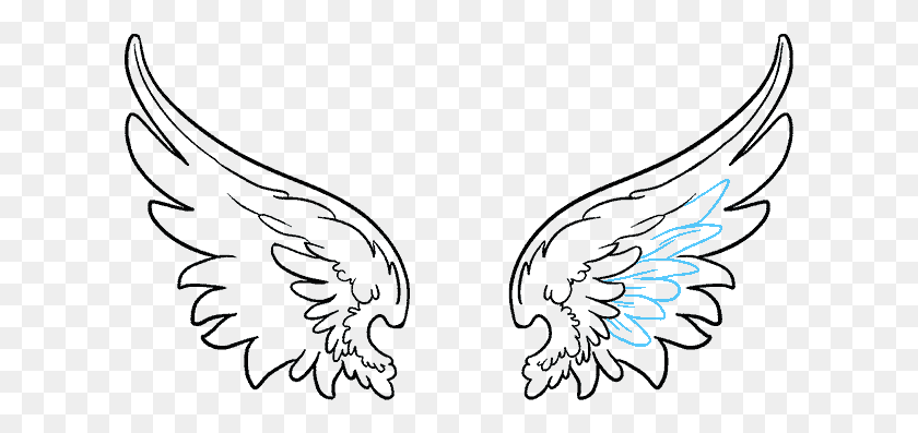 613x337 Cartoon Angel Wing For Free Draw An Angel Wing, Outdoors, Nature, Night HD PNG Download