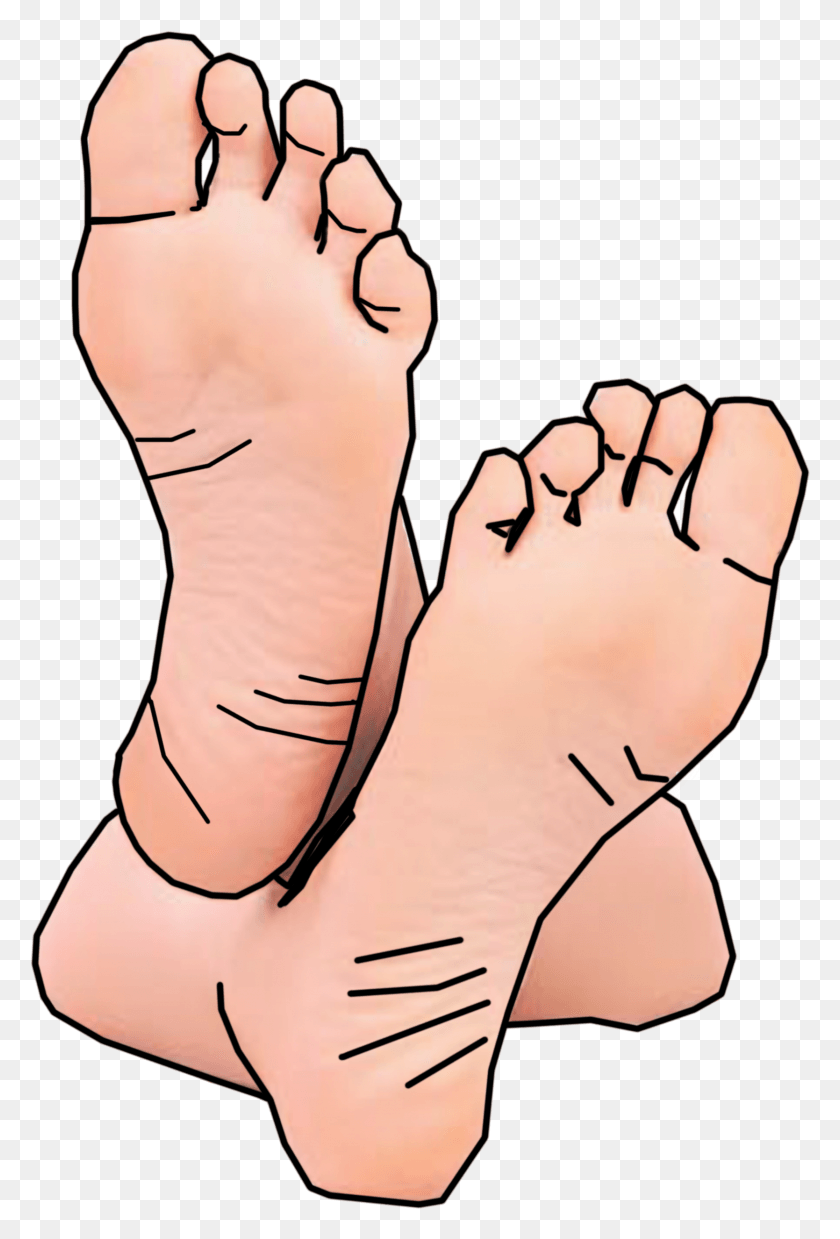 1669x2524 Cartoon Bare Feet Clipart Feet Clipart, Heel, Ankle, Person HD PNG Download