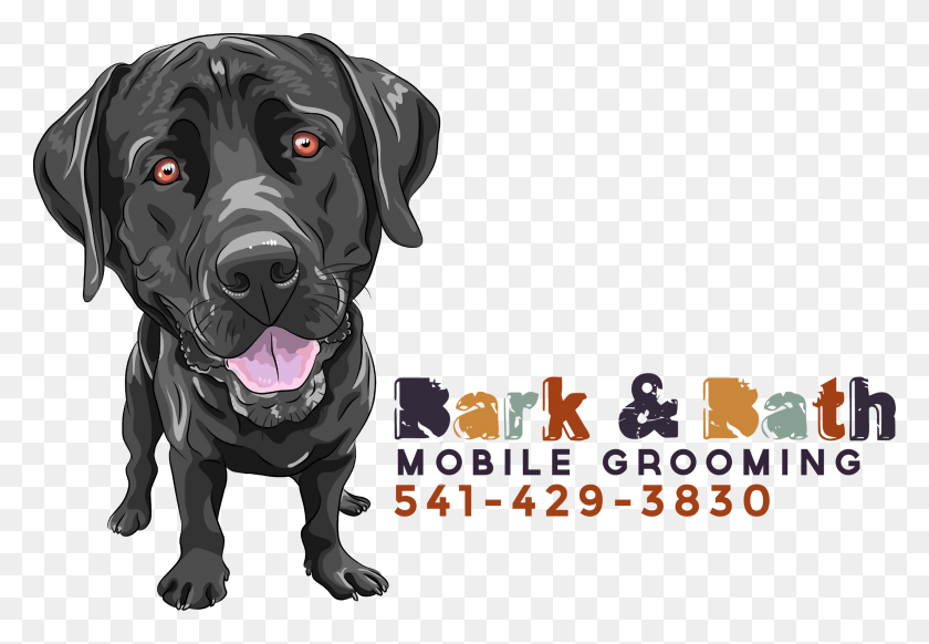 2560x1714 Cartoon Black Lab, Labrador Retriever, Dog, Pet HD PNG Download