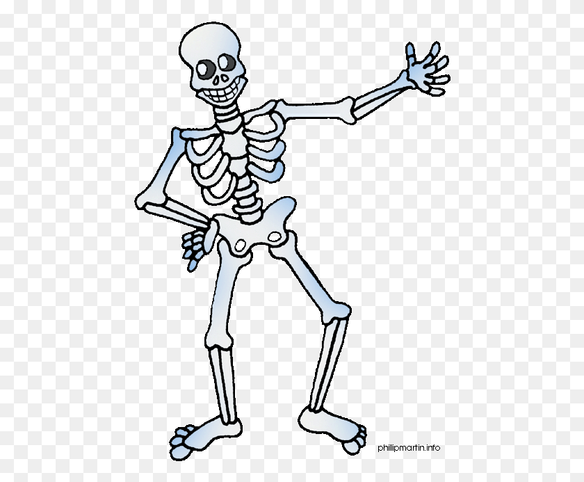 456x633 Cartoon Body Skeleton Clipart, Person, Human HD PNG Download
