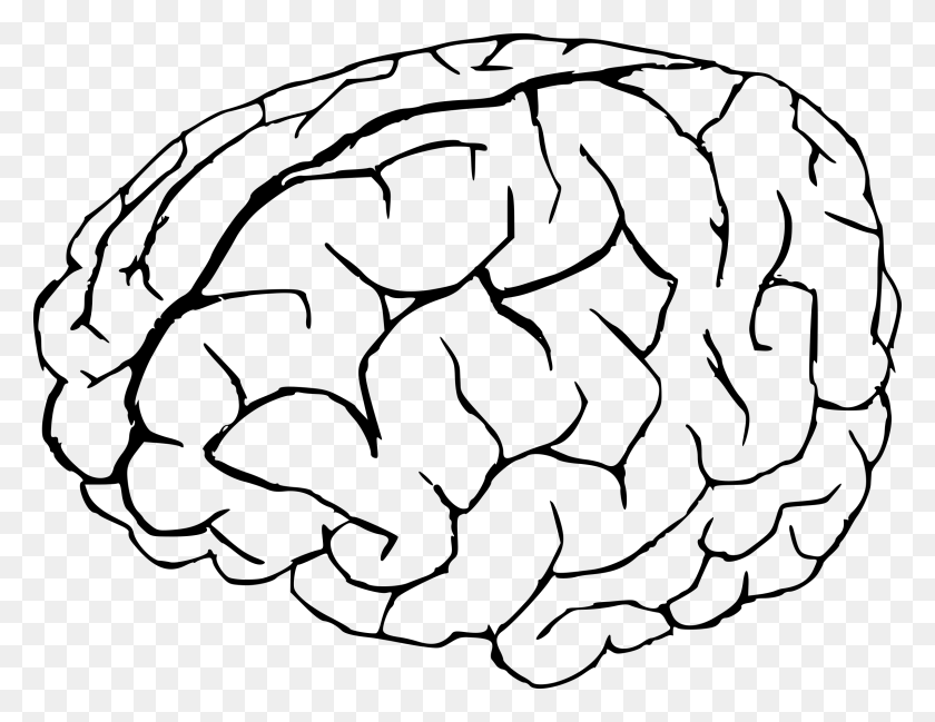2400x1814 Cerebro Png / Cerebro De Dibujos Animados Hd Png