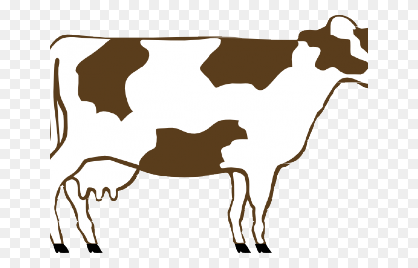 640x480 Cartoon Brown And White Cow, Cattle, Mammal, Animal HD PNG Download