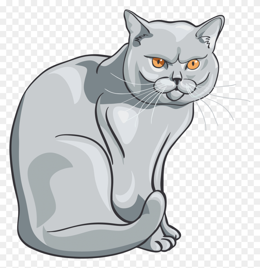1998x2061 Gato Png / Gato Png