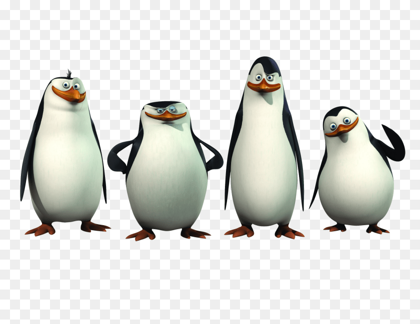 1600x1236 Cartoon Characters Madagascar And Shrek, Animal, Bird, Penguin PNG