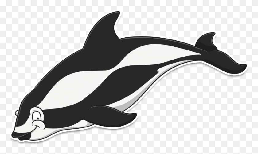 855x487 Мультфильм Дельфин С Коротким Клювом Обыкновенный Дельфин, Млекопитающее, Морская Жизнь, Животное Png Скачать
