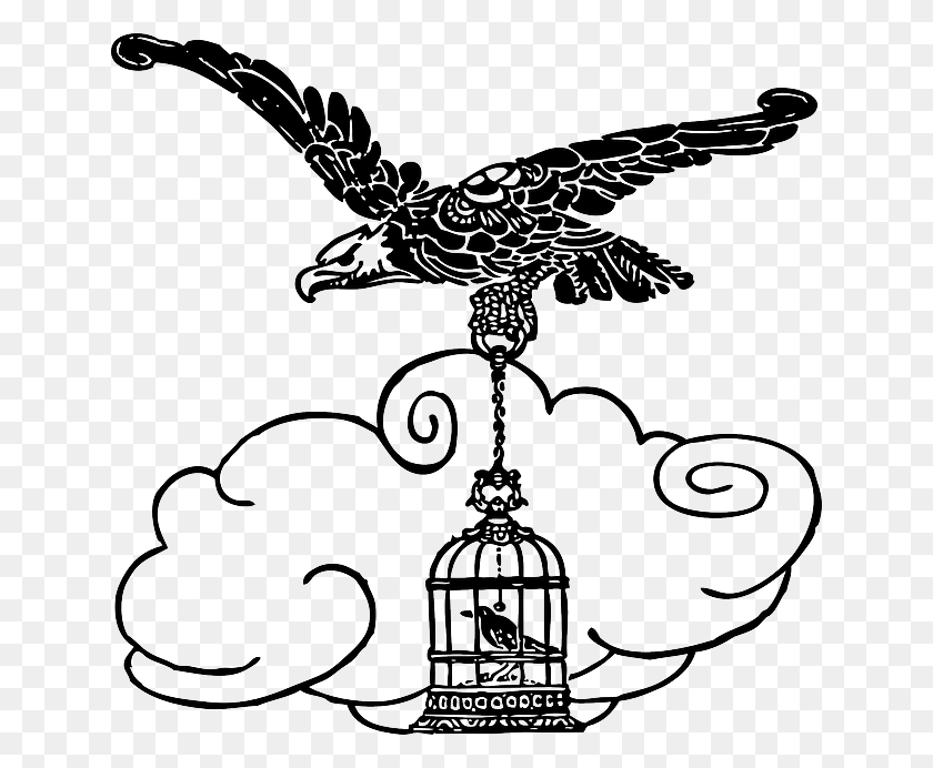 640x632 Cartoon Eagle Birds Bird Flying Animal Parrot Flying With Cage, Stencil HD PNG Download