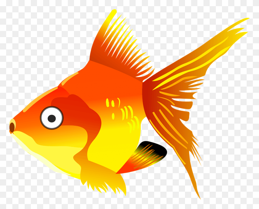 911x720 Cartoon Fish Goldfish Con C Hot Hnh, Animal, Bird Hd Png