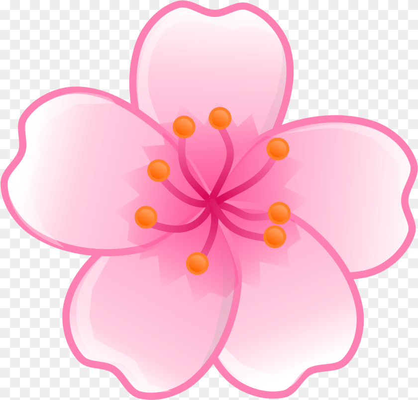 1801x1725 Cartoon Flower Picture Flower Cherry Blossom Clip Art, Plant, Petal, Cherry Blossom Clipart PNG