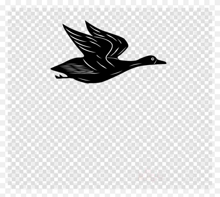 900x800 Cartoon Flying Duck Gif Clipart Duck Mallard Clip Art Clipart Transparent Background Airplanes, Texture, Polka Dot, Pattern HD PNG Download