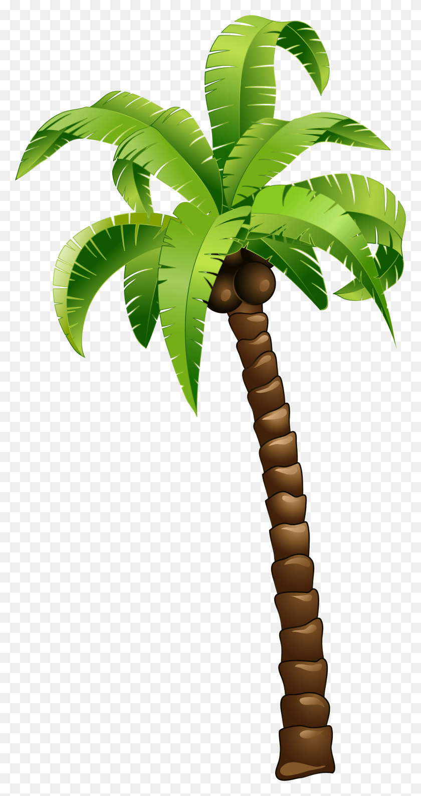 1901x3718 Descargar Png Árbol De Coco Verde De Dibujos Animados Árbol De Coco, Planta, Palmera Hd Png