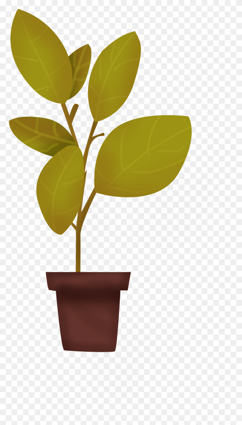 1004x1821 Cartoon Hand Drawn Illustration Lush And Psd Flowerpot, Plant, Leaf, Seed HD PNG Download