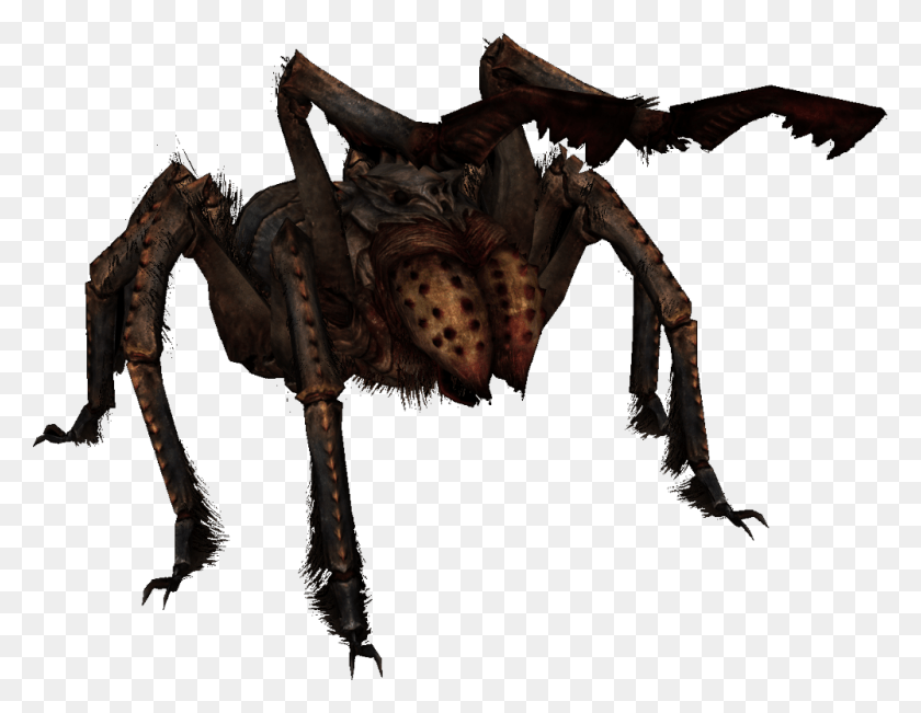 1000x758 Cartoon Images Of Spiders Skyrim Spider, Alien HD PNG Download