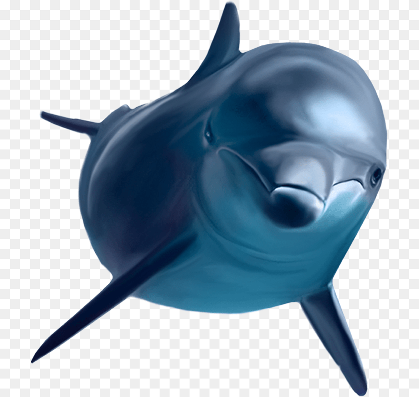 Cartoon Killer Whale Clip Art, Animal, Dolphin, Mammal, Sea Life Sticker PNG