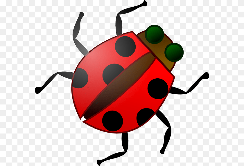 Cartoon Ladybug Clip Art For Web, Dynamite, Weapon, Animal PNG