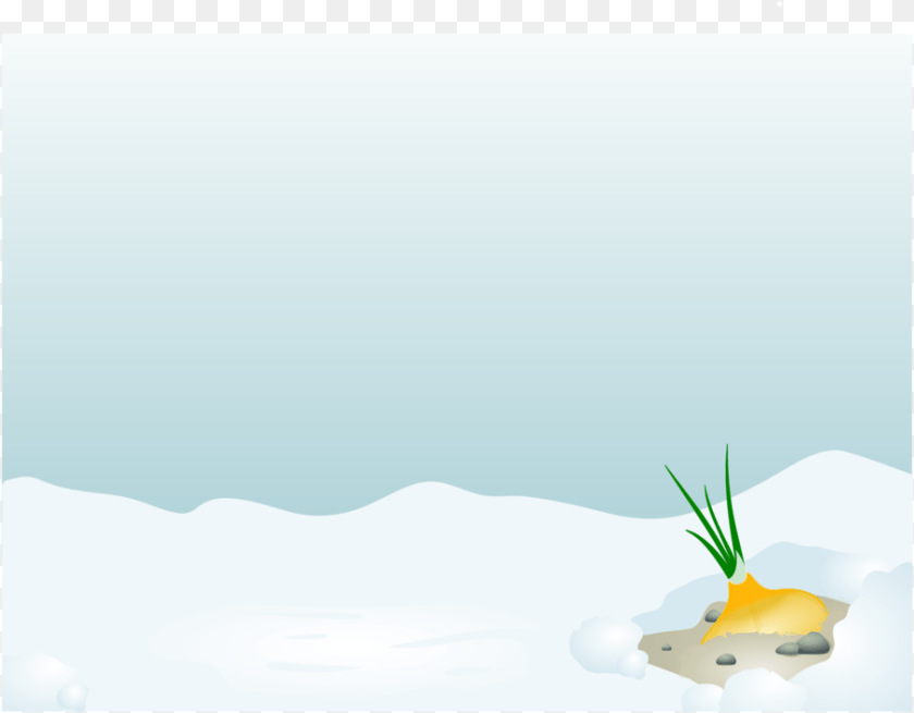 Cartoon Leaf Computer Plants Illustration, Food, Meal Transparent PNG