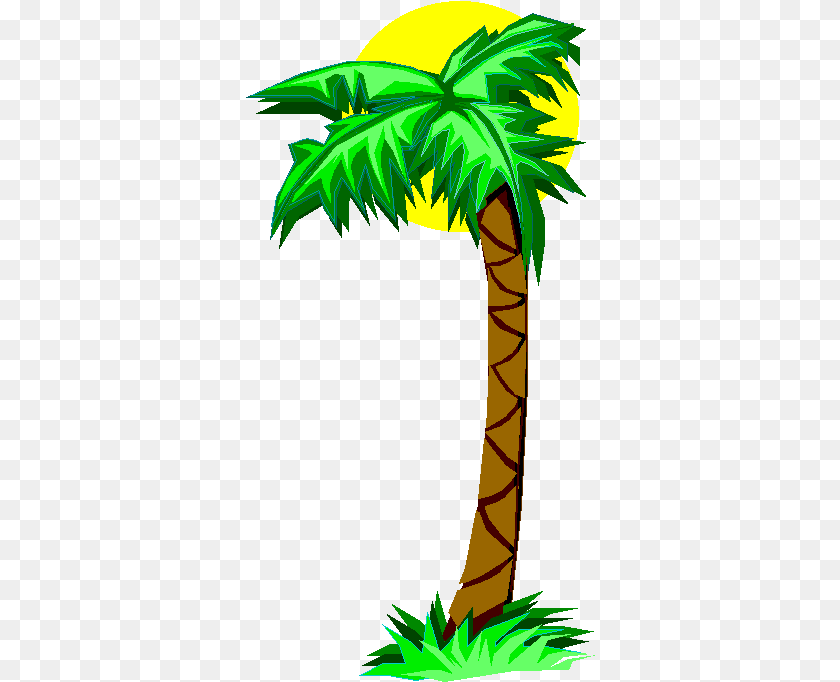 Cartoon Palm Tree Palm Tree Clip Art, Palm Tree, Plant, Vegetation, Adult PNG