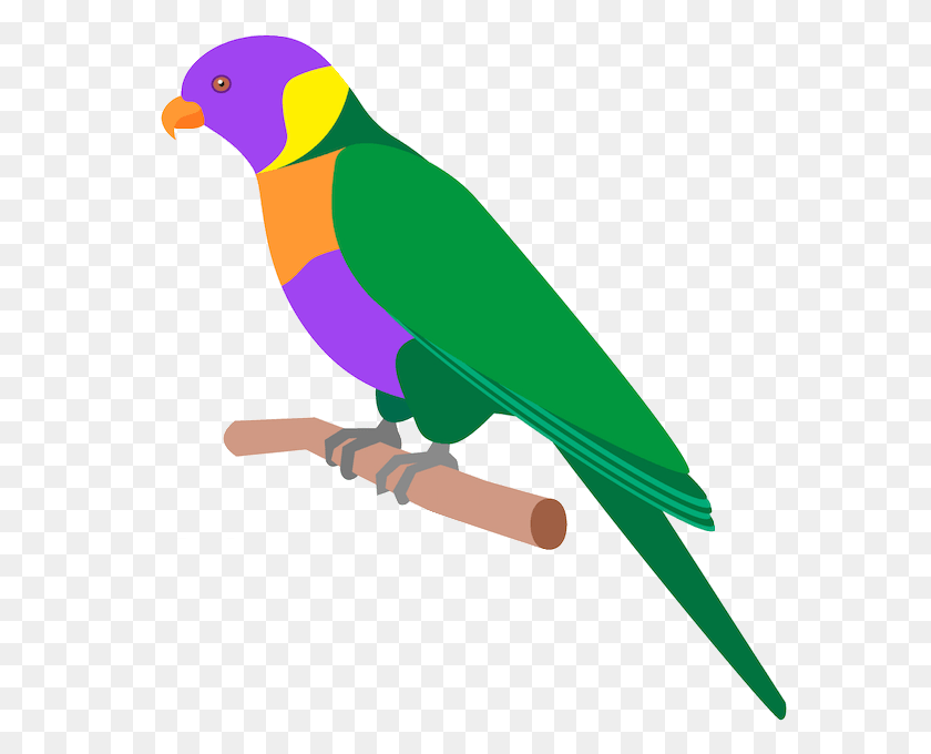 581x620 Cartoon Parrot, Animal, Parakeet, Bird HD PNG Download