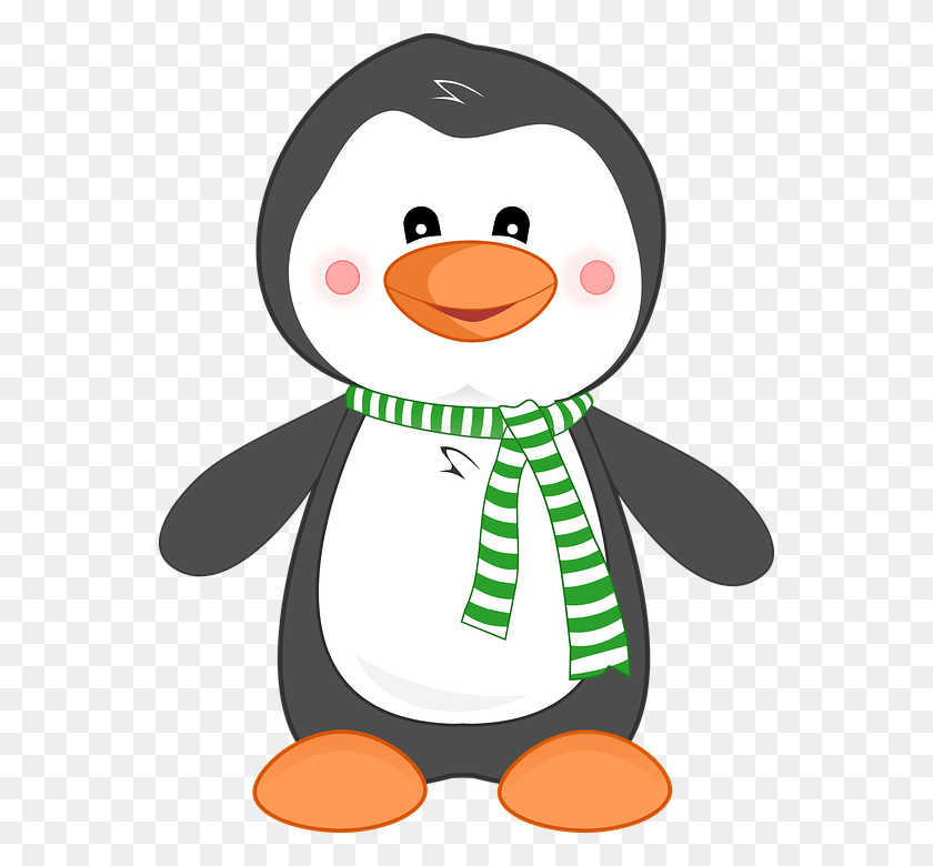 554x720 Cartoon Penguin Free Vector Graphic Penguin Animal Penguin Clipart, Bird, Snowman, Winter HD PNG Download