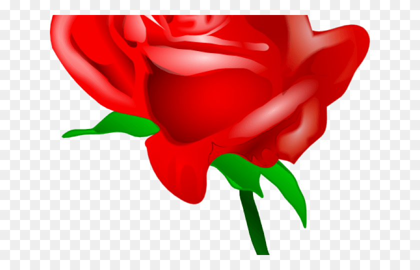 640x480 Мультфильм Красная Роза, Роза, Цветок, Растение Hd Png Скачать