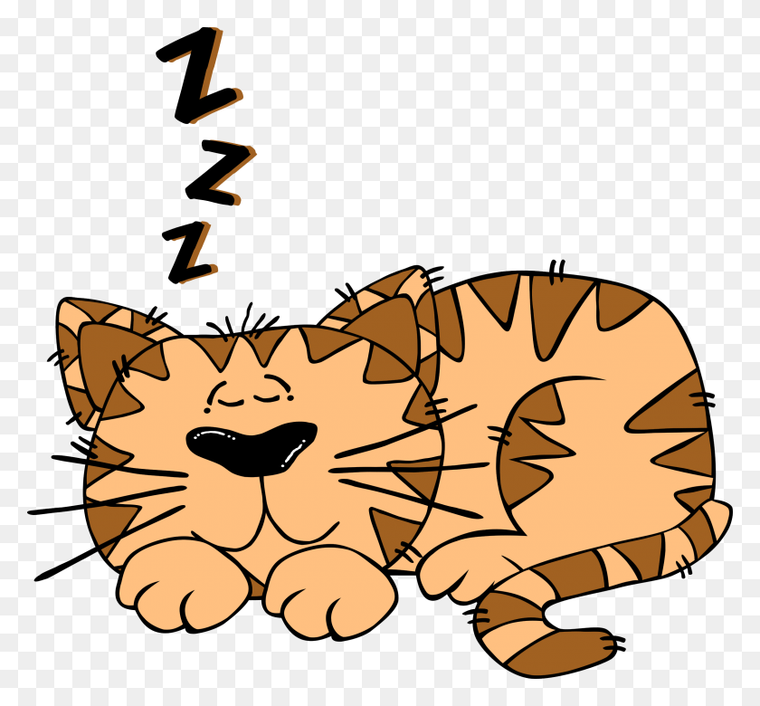 2400x2216 Cartoon Sleeping Cat Sleeping Clipart, Reptile, Animal, Leaf HD PNG Download