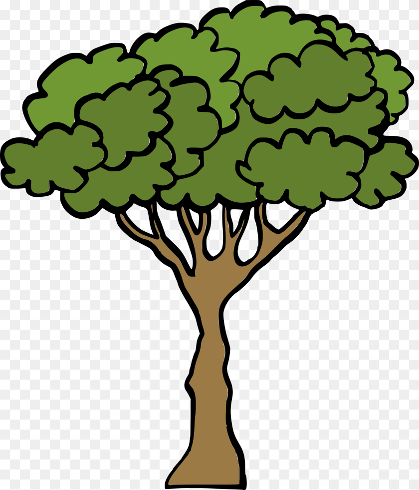 2199x2569 Cartoon Tree 3 Tree Cartoon Transparent, Plant, Potted Plant, Art, Person PNG