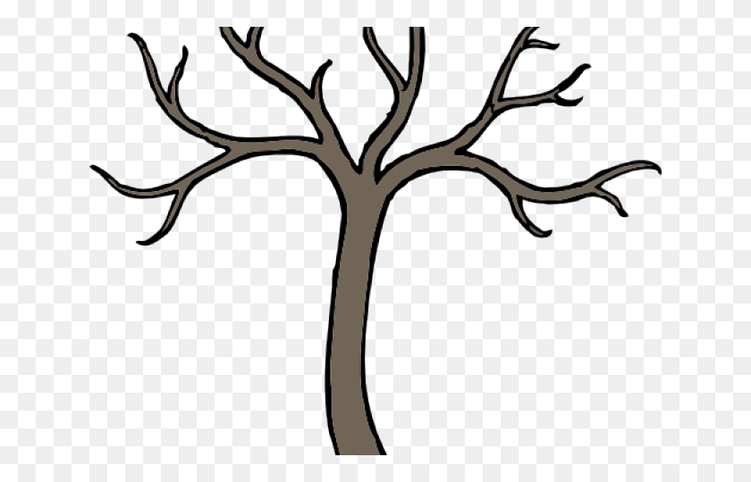 640x480 Cartoon Tree Branch Drawing, Plant, Tree, Flower HD PNG Download