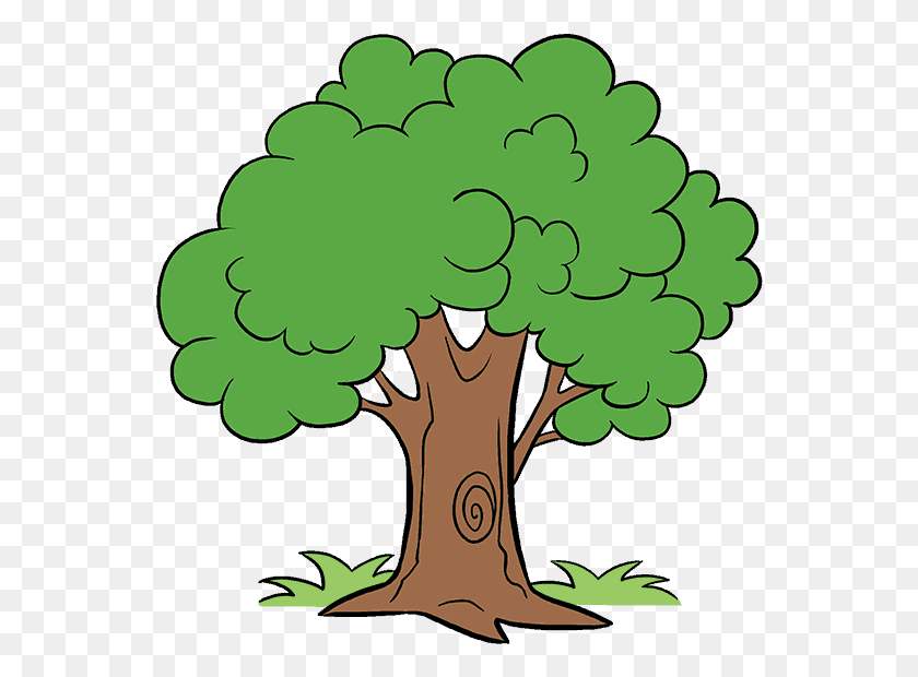 556x560 Cartoon Trees With Transparent Background Tree Cartoon, Plant, Graphics HD PNG Download
