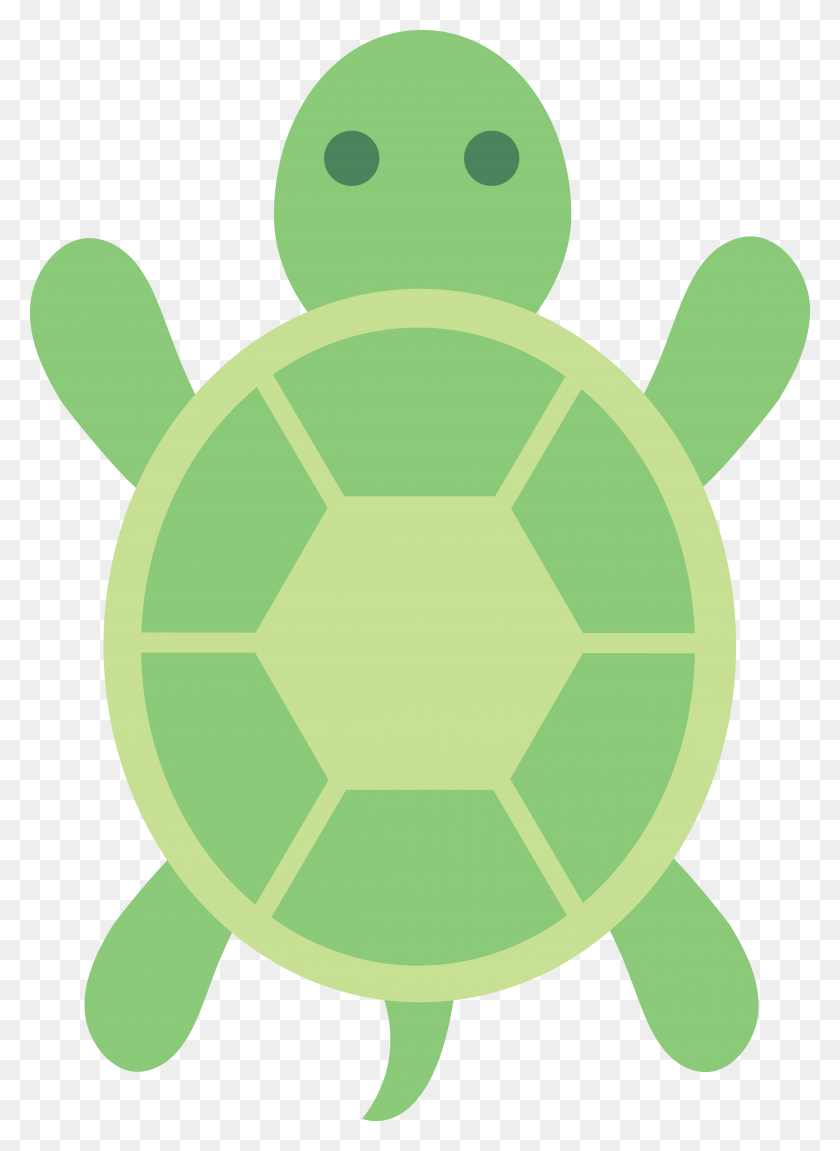 4837x6770 Cartoon Turtle Pictures Free Clip Art Cartoon Sea Turtle Back, Soccer Ball, Ball, Soccer HD PNG Download