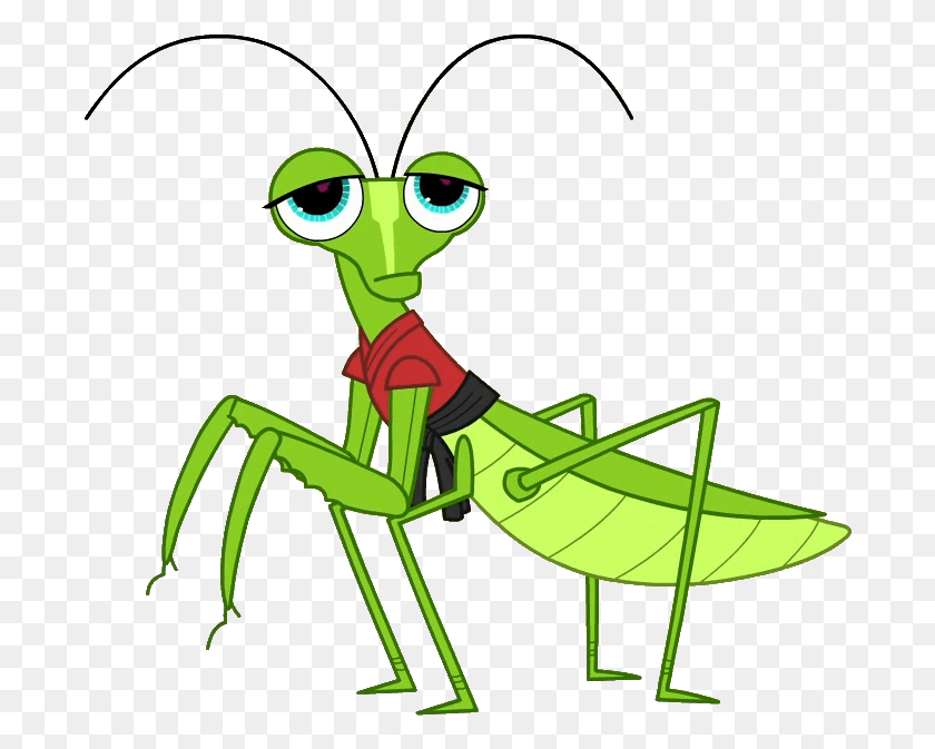 690x613 Cartoon Vector Cricket Cartoon, Grasshopper, Insect, Invertebrate HD PNG Download