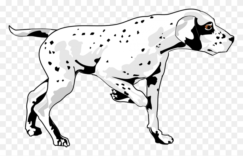 960x593 Dibujos Animados Perro Caminando, Mamífero, Animal, Mascota Hd Png