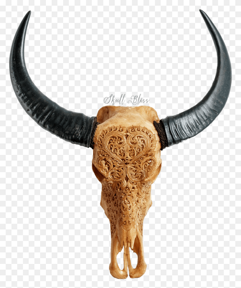 804x974 Carved Buffalo Skull Bull, Longhorn, Cattle, Mammal HD PNG Download
