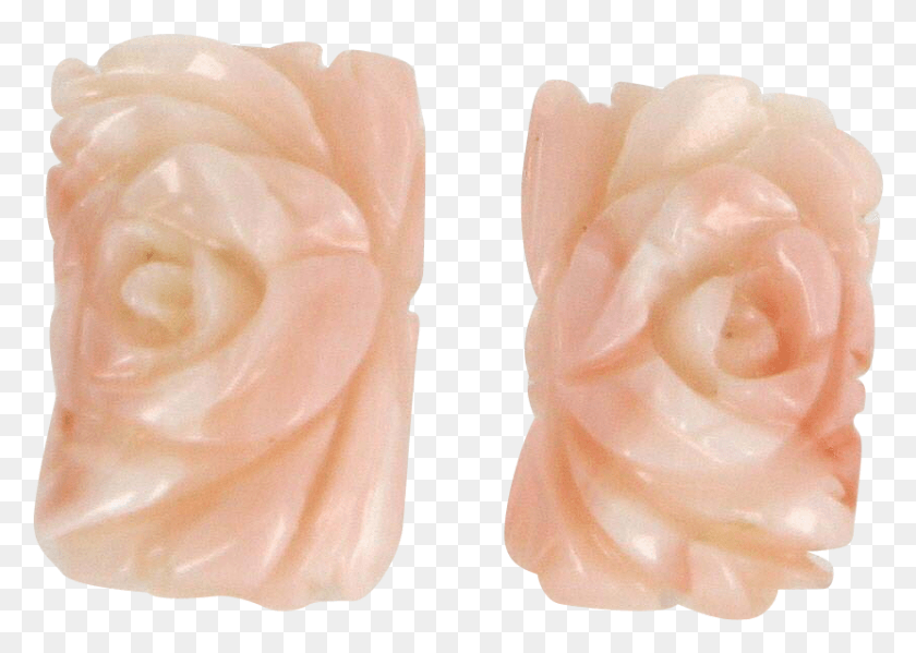 830x574 Carved Coral Flower Cocktail Earrings Vintage 14 Karat Garden Roses, Rose, Plant, Blossom Descargar Hd Png