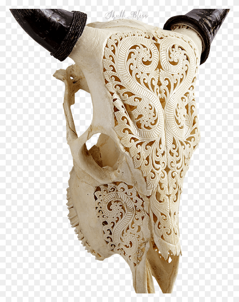 782x1001 Carved Cow Skull Carving, Lace, Clothing, Apparel HD PNG Download