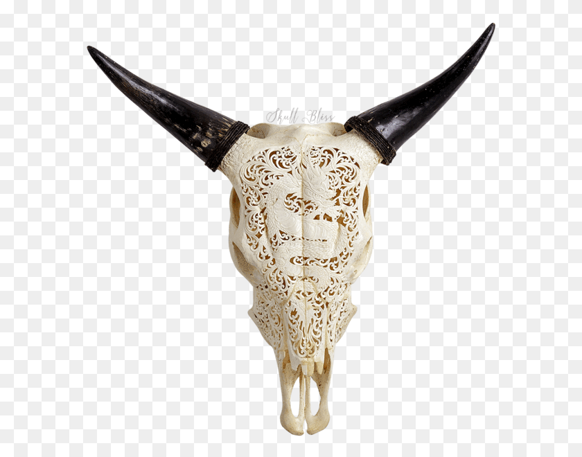 593x600 Carved Cow Skull Skull, Axe, Tool, Antler HD PNG Download
