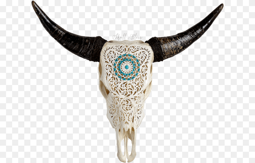 636x537 Carved Cow Xl Horns Cow Skull Animal, Mammal, Bull, Accessories Transparent PNG