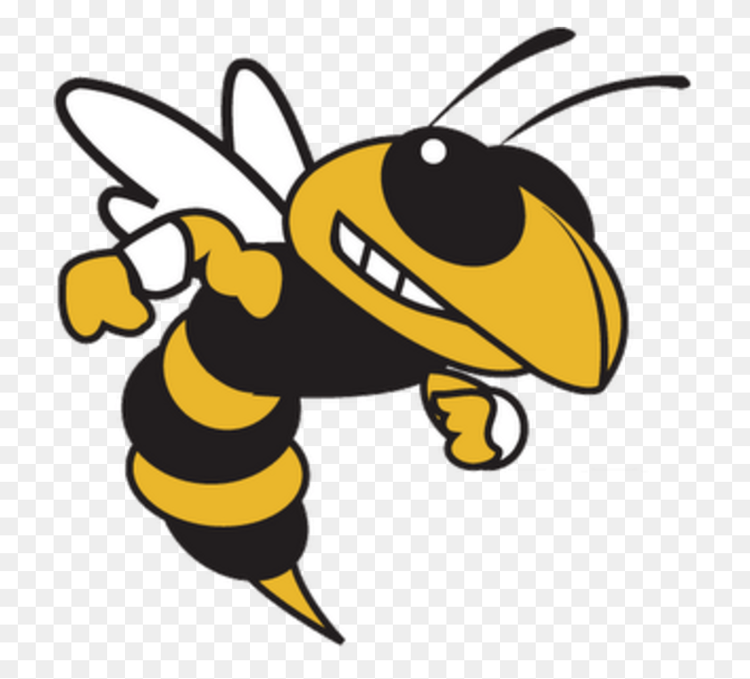 720x701 Желтые Куртки Средней Школы Карвера Fayetteville Manlius Hornets, Насекомое, Беспозвоночное, Животное Png Скачать
