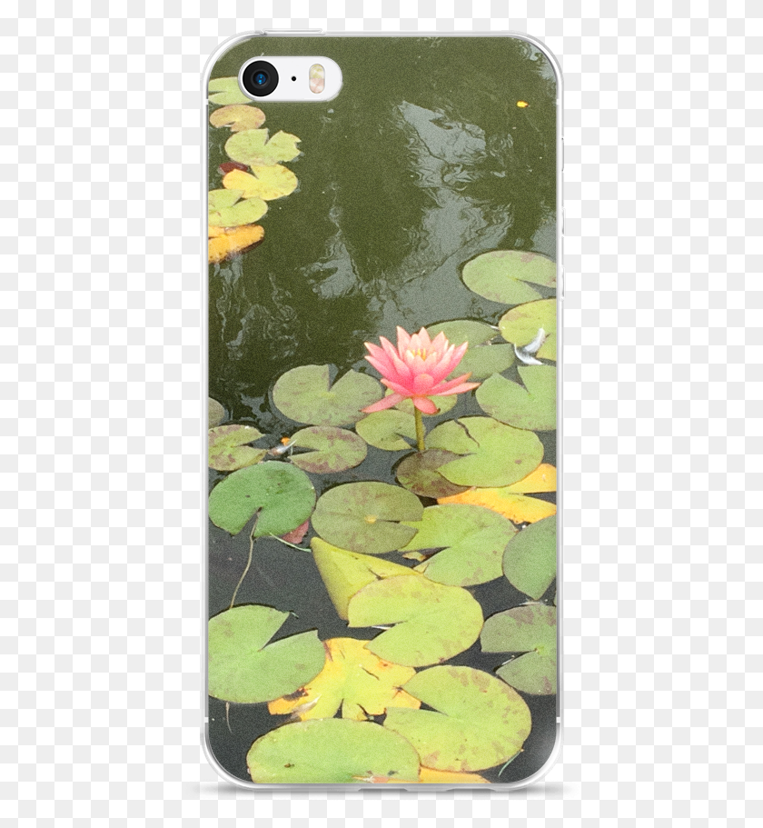 436x851 Casetiful Exclusives Iphone 7 Lily Pad In The Lake Sacred Lotus, Plant, Lily, Flower HD PNG Download