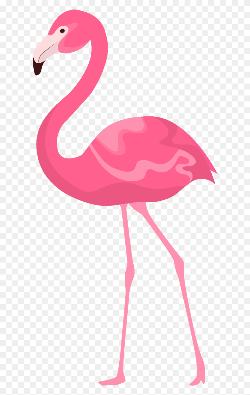 623x1264 Casetify Iphone Art Design Illustration Животные Free Flamingo Clipart, Bird, Animal Hd Png Download