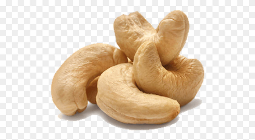 509x403 Cashew Benefits, Plant, Nut, Vegetable HD PNG Download