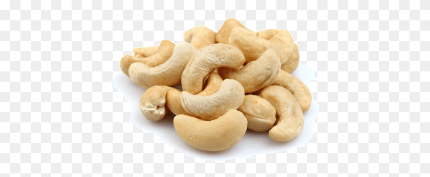 410x287 Cashew Nut Cashew Nut, Plant, Vegetable, Food HD PNG Download