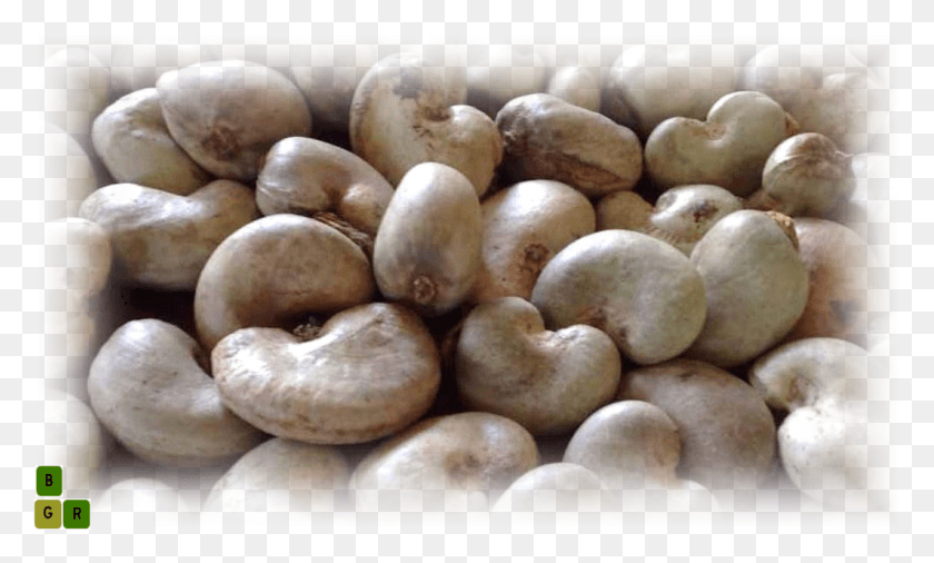 2025x1158 Cashew Nut Extract, Plant, Vegetable, Food HD PNG Download