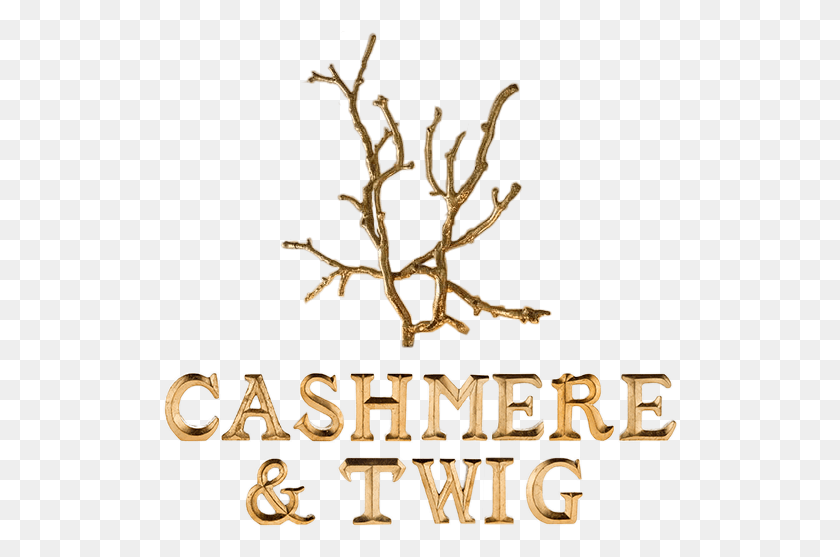 516x497 Cashmere Twig Logo Transparent Background For Print Illustration, Text, Wood, Alphabet HD PNG Download