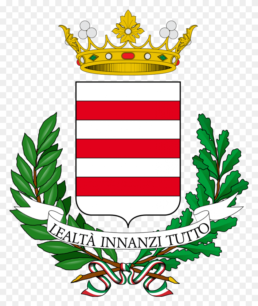 844x1013 Escudo De Armas De Castelnuovo Don Bosco Stemma Vines, Símbolo, Emblema, Planta Hd Png