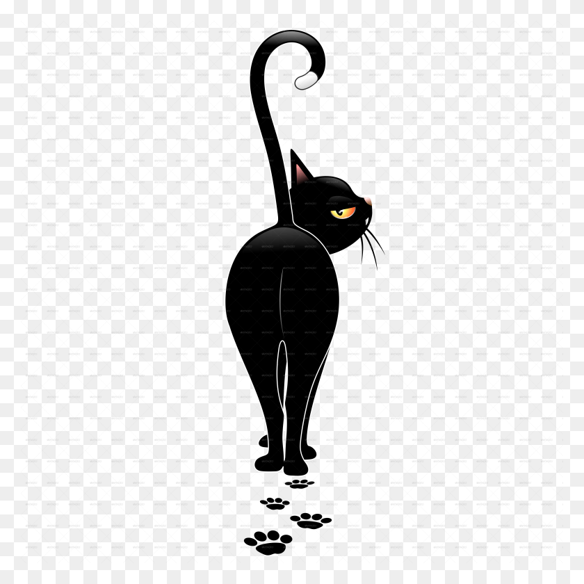 5000x5000 Gato, La Luz, Esfera Hd Png