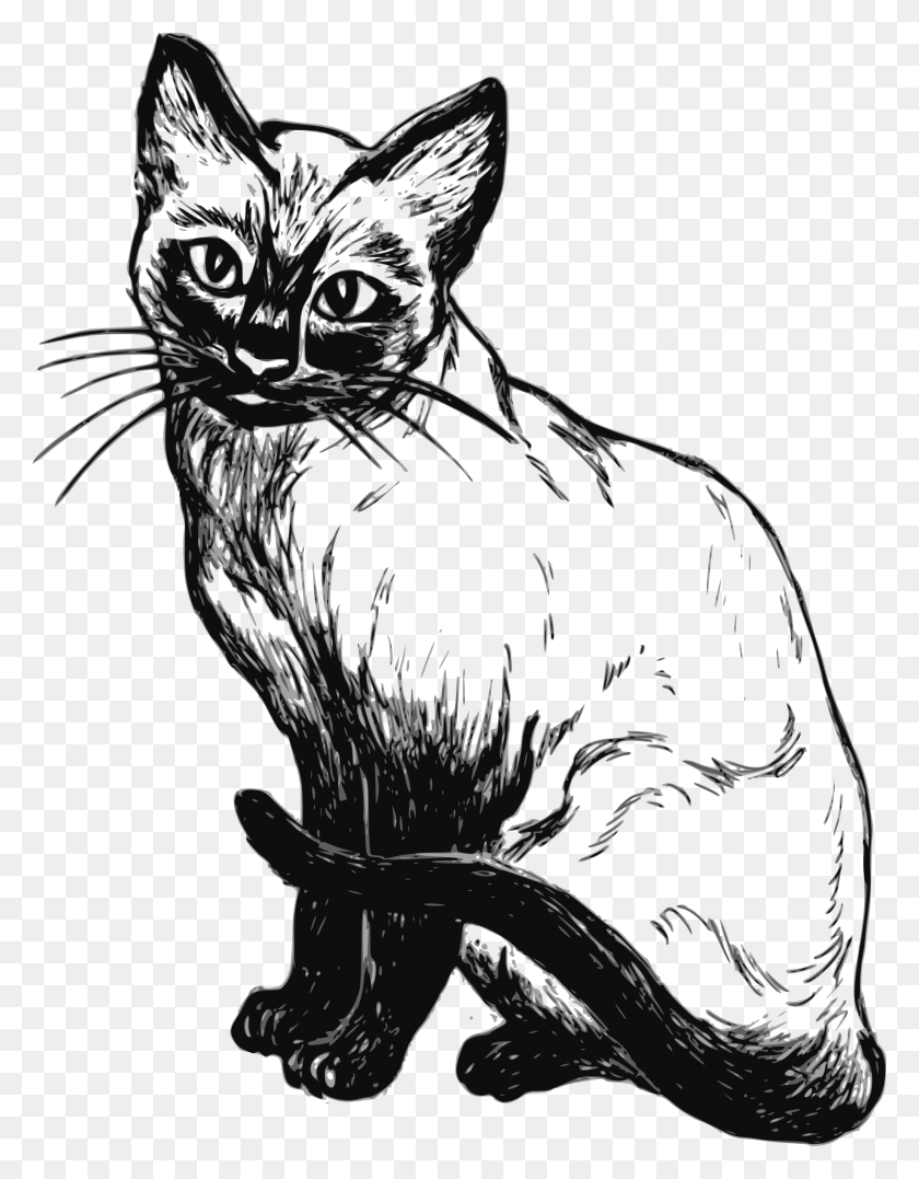 1839x2400 Cat And Kitten Black And White Cat Black And White, Sketch HD PNG Download