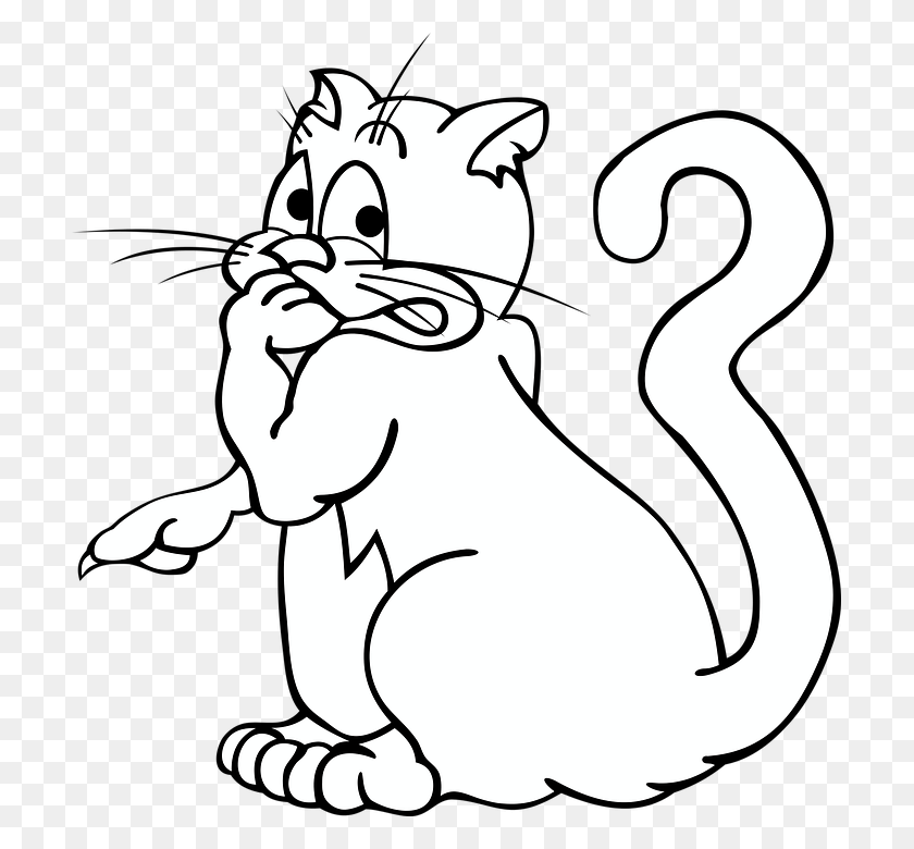 707x720 Descargar Png Gato Animal Gatito Tomcat Mascota Para Colorear Gato Miedo, Mamífero, Roedor, La Vida Silvestre Hd Png