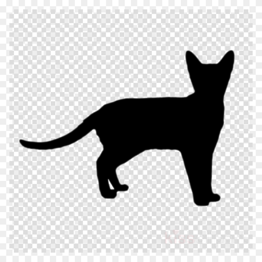 900x900 Cat Dog Drawing Transparent Image Clipart Free Transparent Hair Style, Texture, Polka Dot, Mammal HD PNG Download