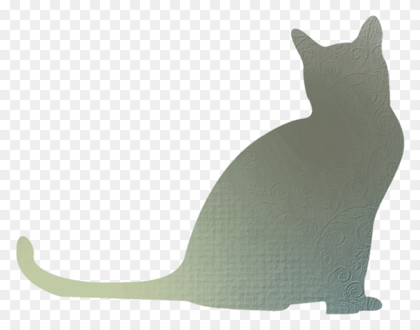 1281x987 Cat Ears And Whiskers Clipart Koshka Ten, Animal, Mammal, Pet HD PNG Download